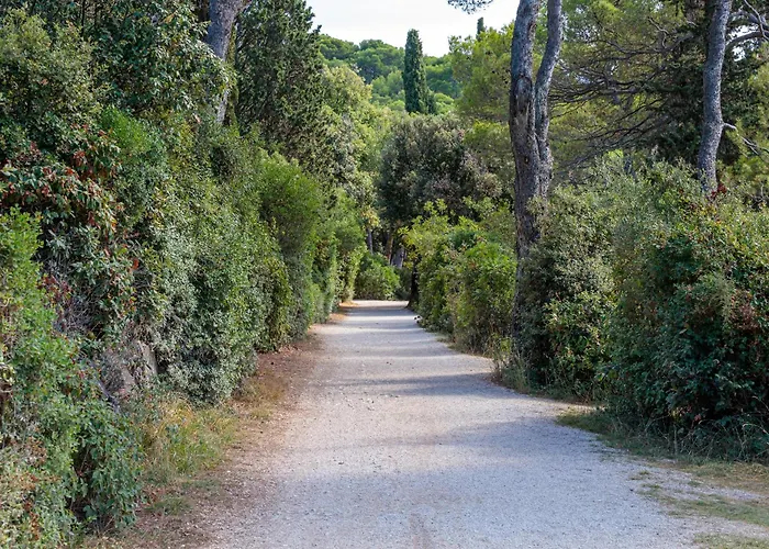 Ugrin With Terrace Rovinj