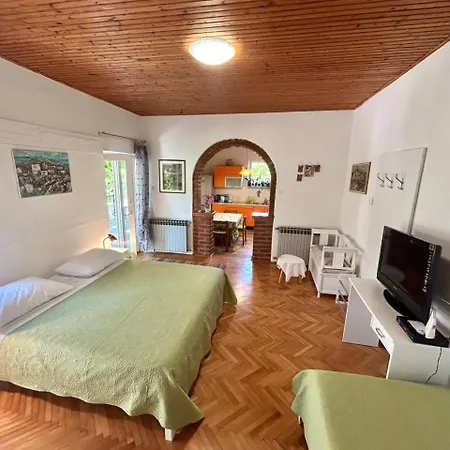 Ugrin With Terrace Apartman *