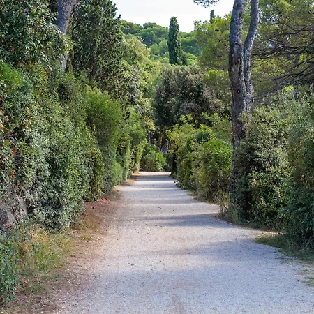 Ugrin With Terrace Rovinj