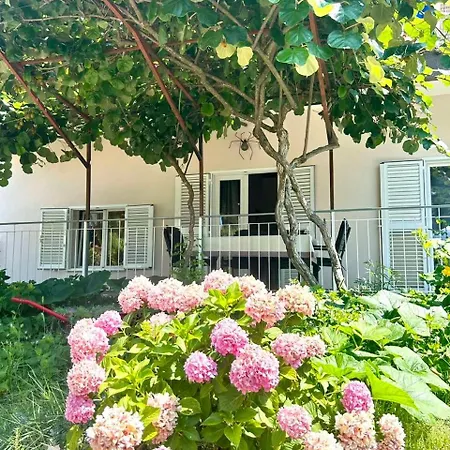 Apartment Ugrin With Terrace Rovinj